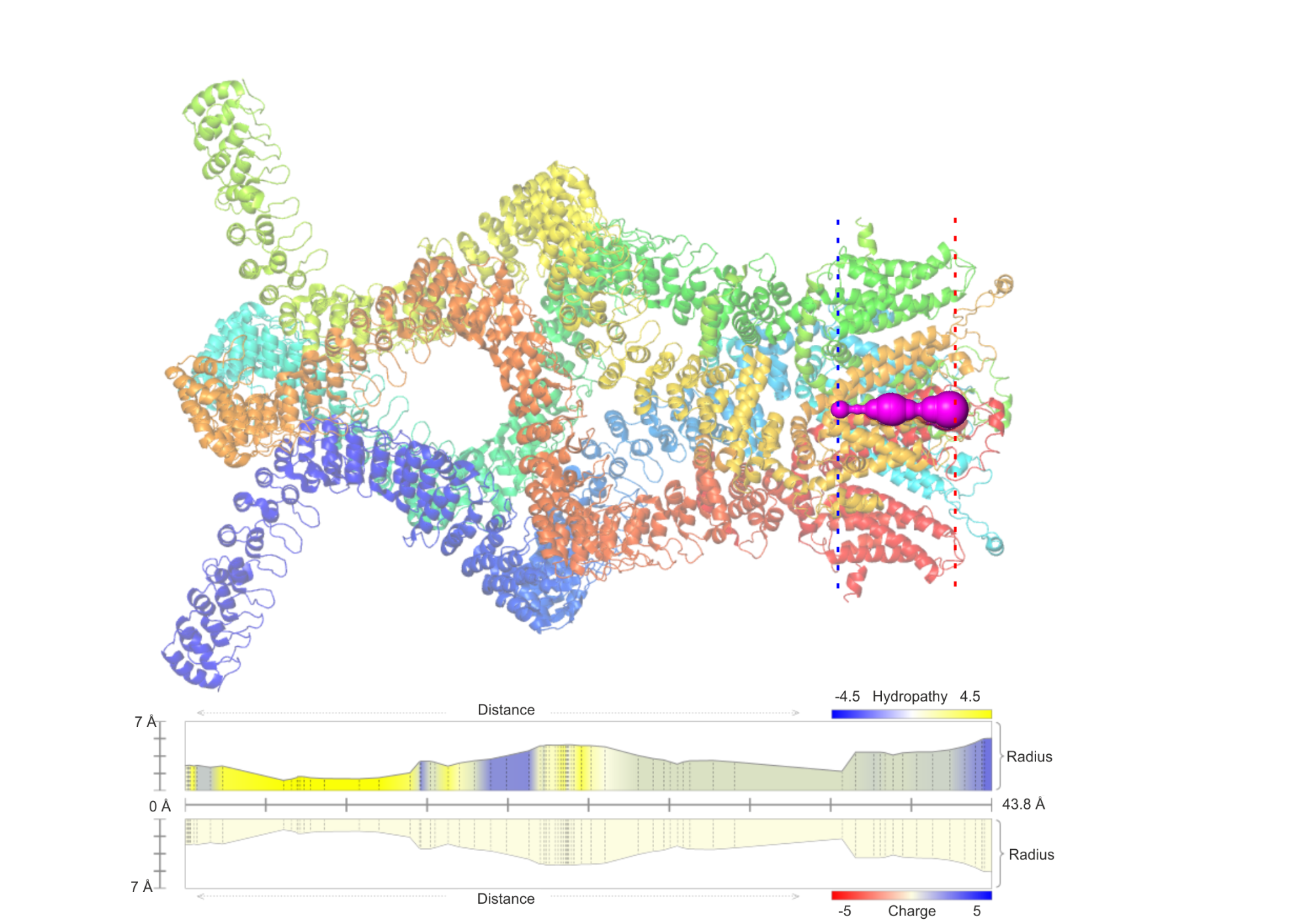 Mechanotransduction channel NOMPC (PDB ID: 5VKQ)